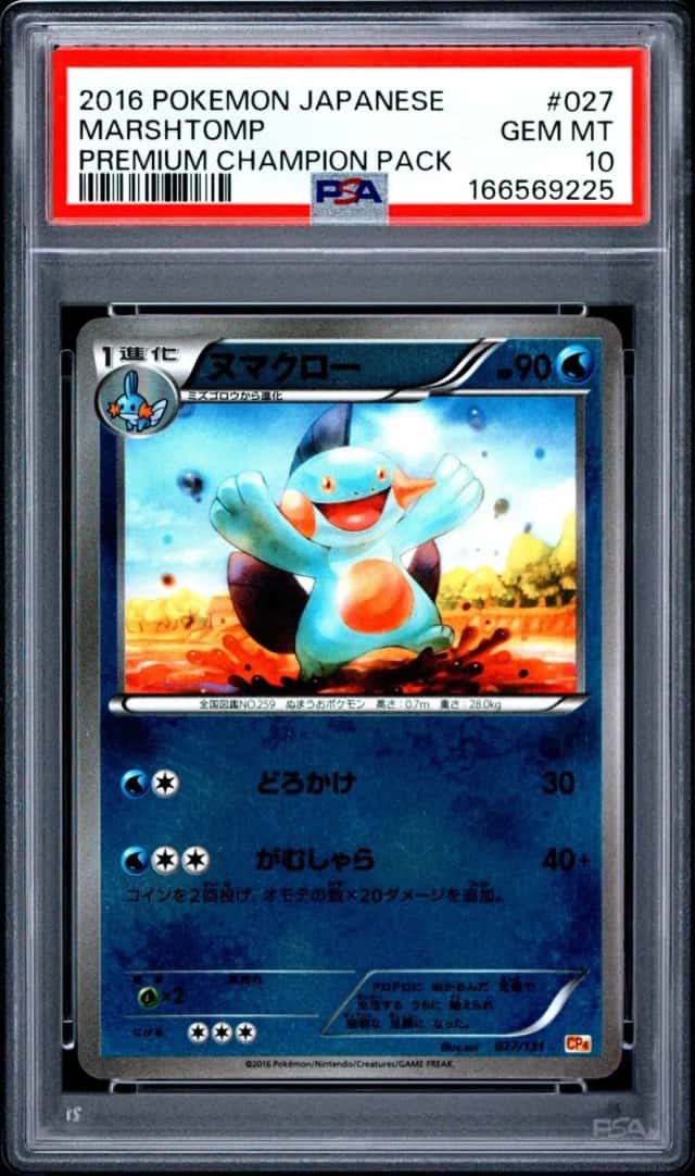 Marshtomp
