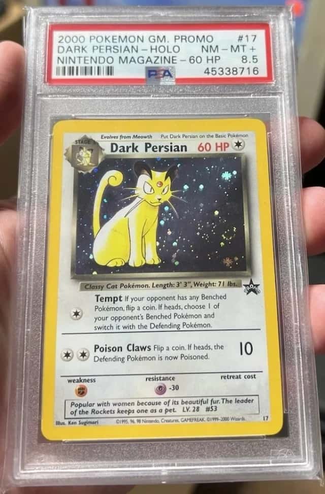 Dark Persian