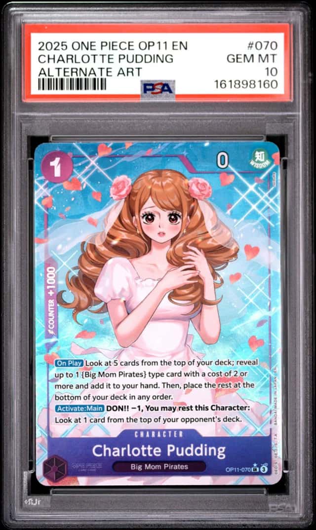 Charlotte Pudding