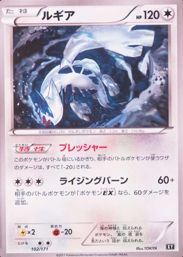 Holo