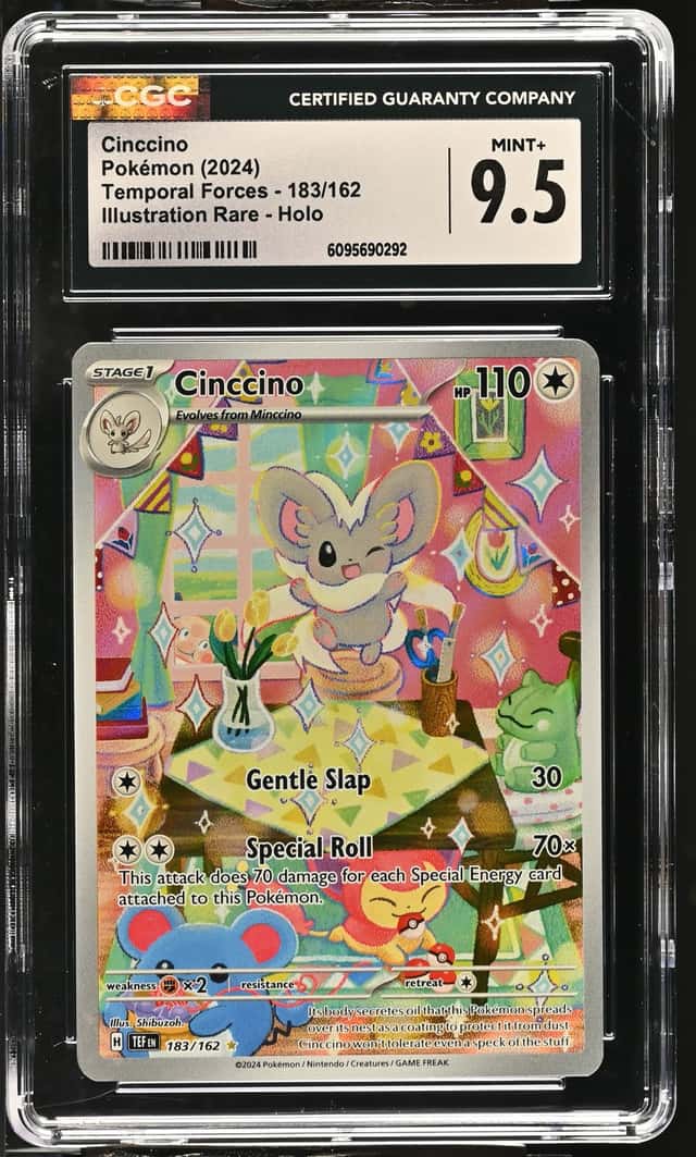Cinccino