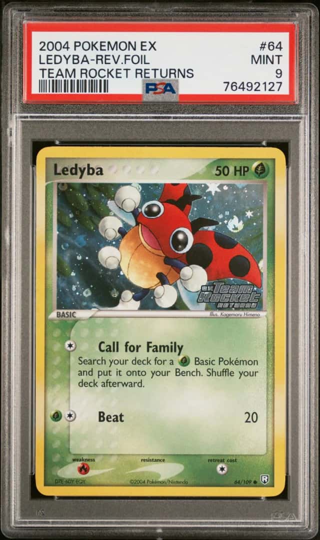 Ledyba