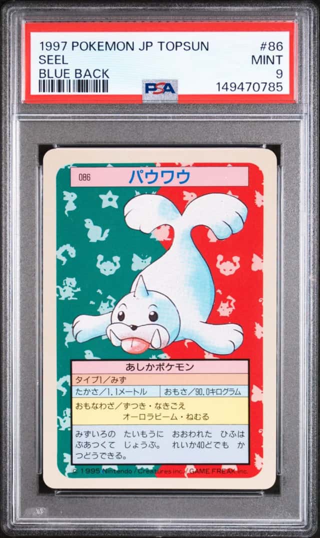 Seel