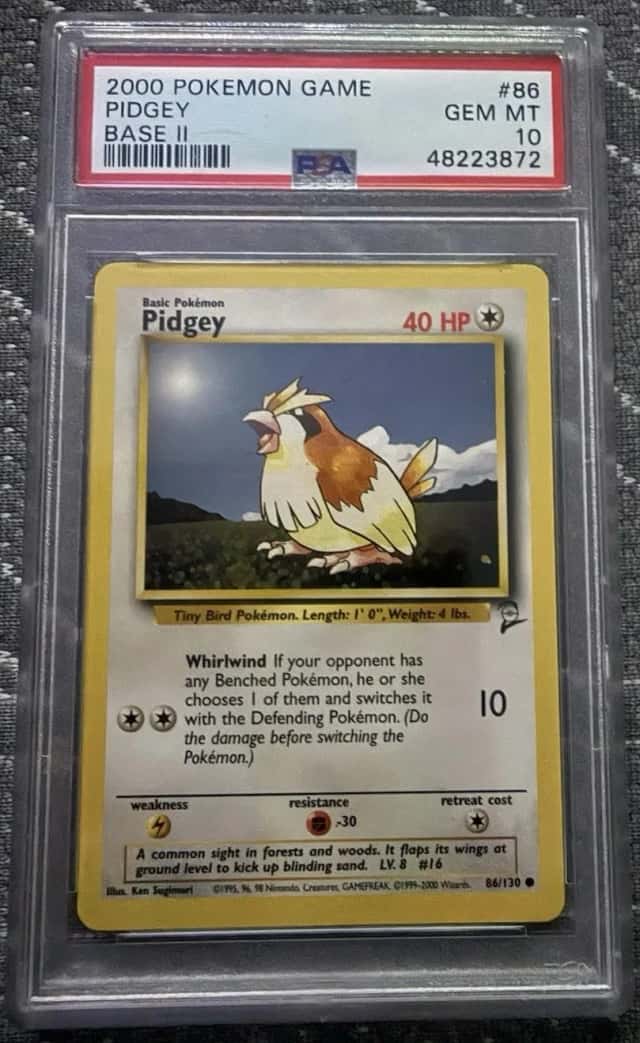 Pidgey