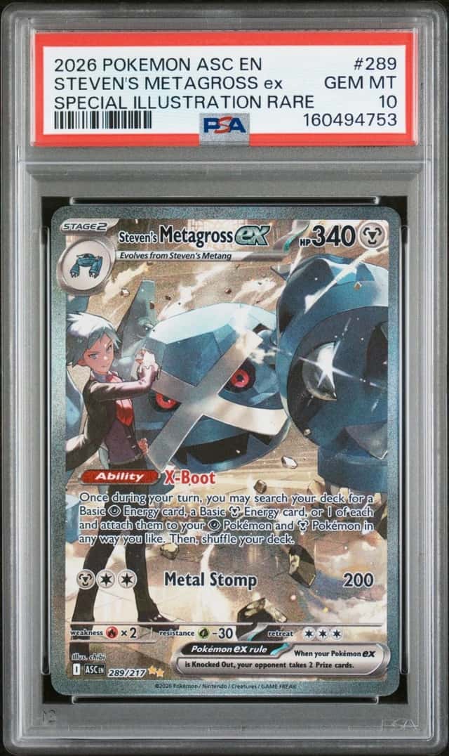STEVEN'S METAGROSS ex