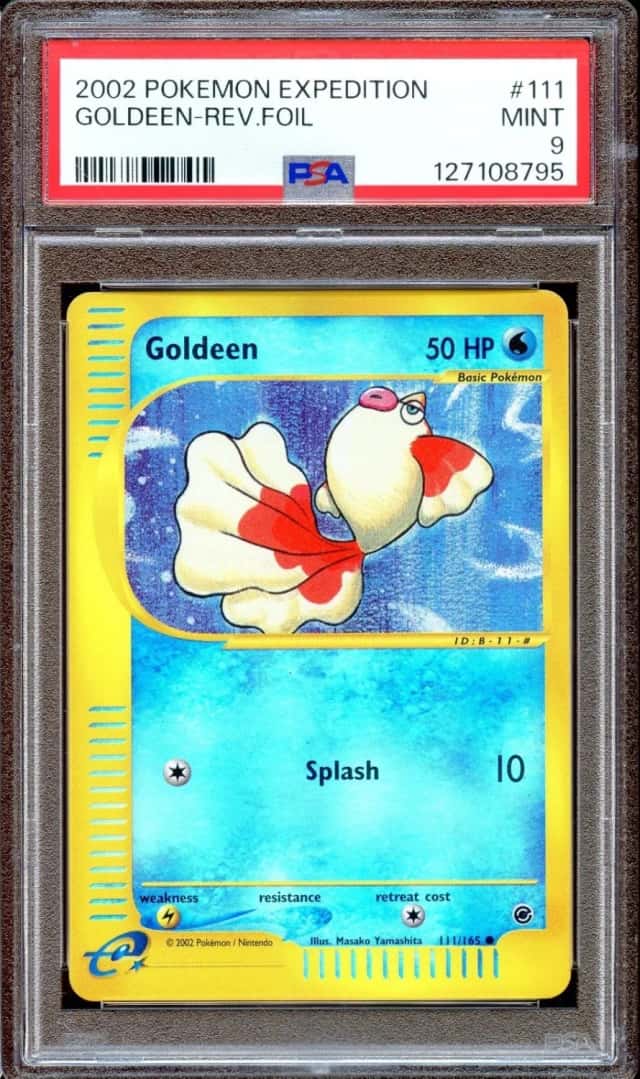 Goldeen