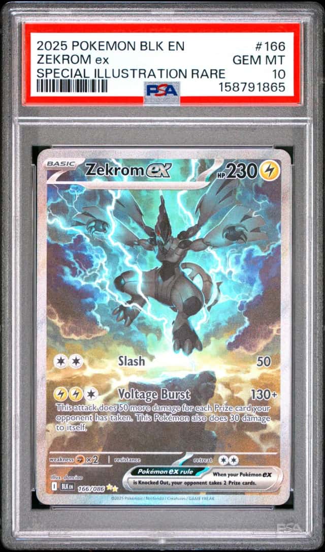 ZEKROM ex