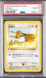 Doduo