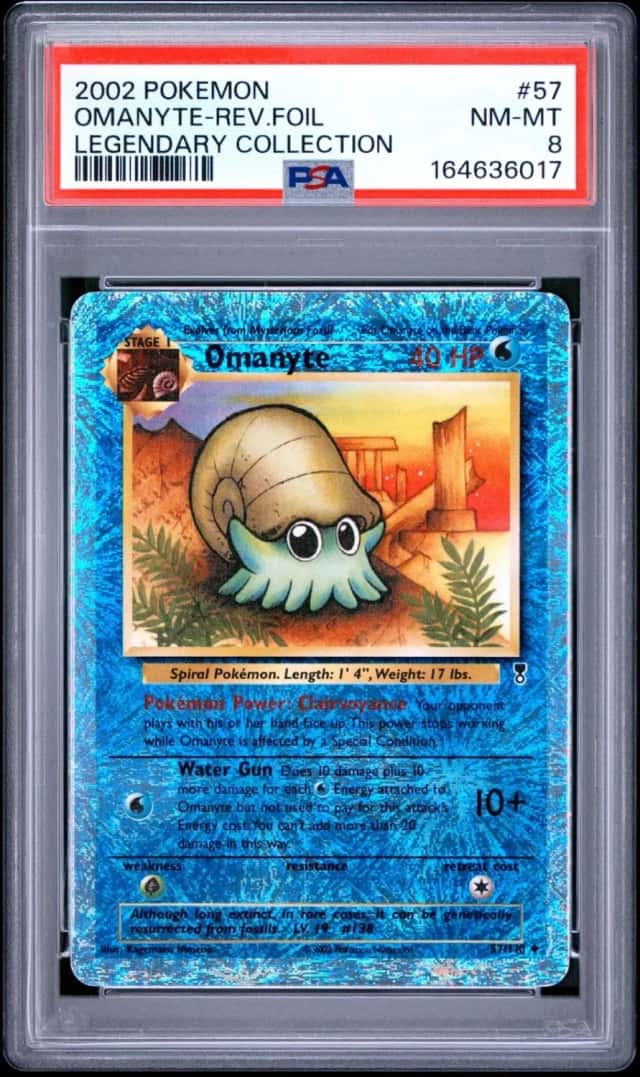 Omanyte