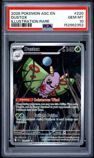 Dustox