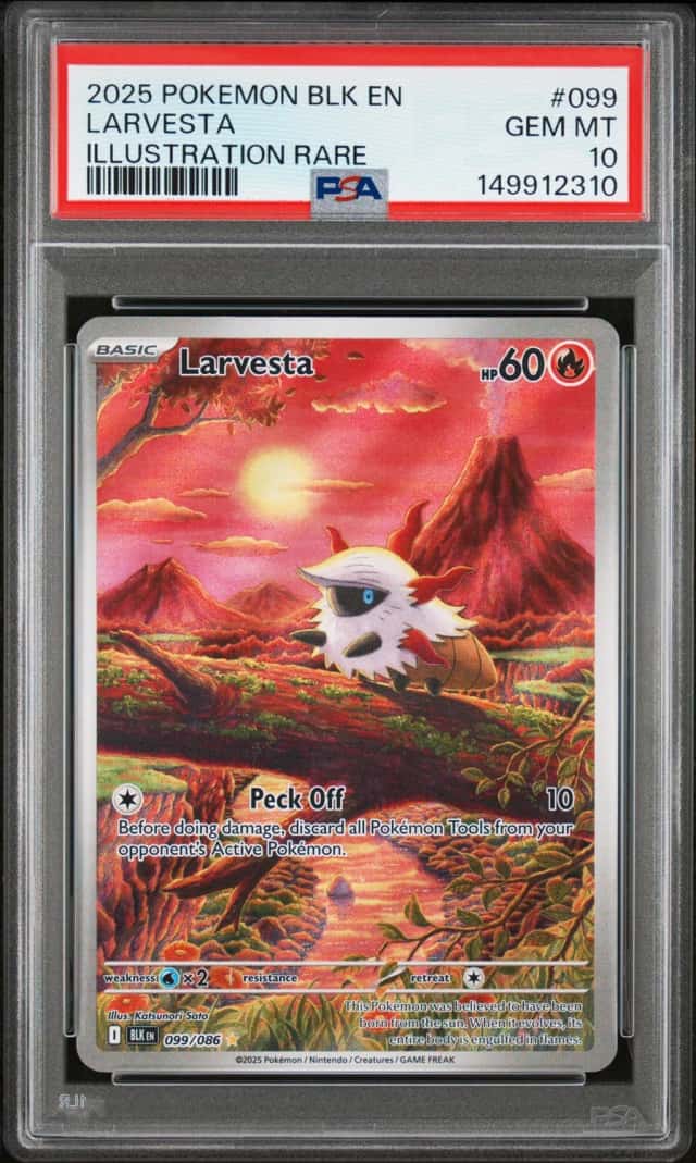 Larvesta