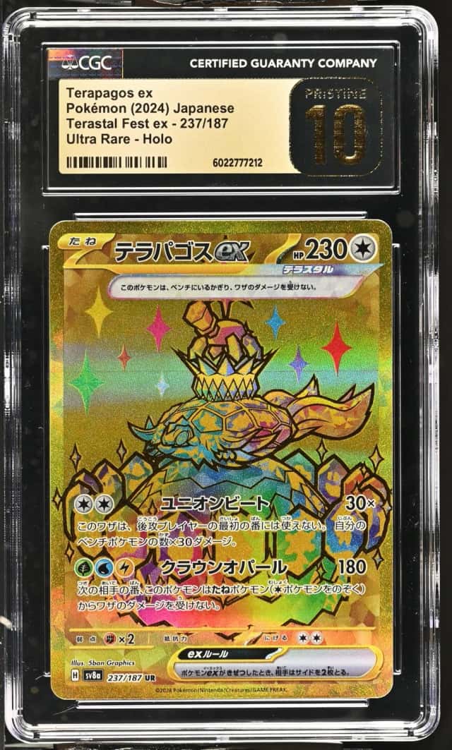 TERAPAGOS ex