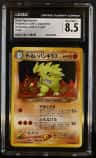 Dark Typhlosion