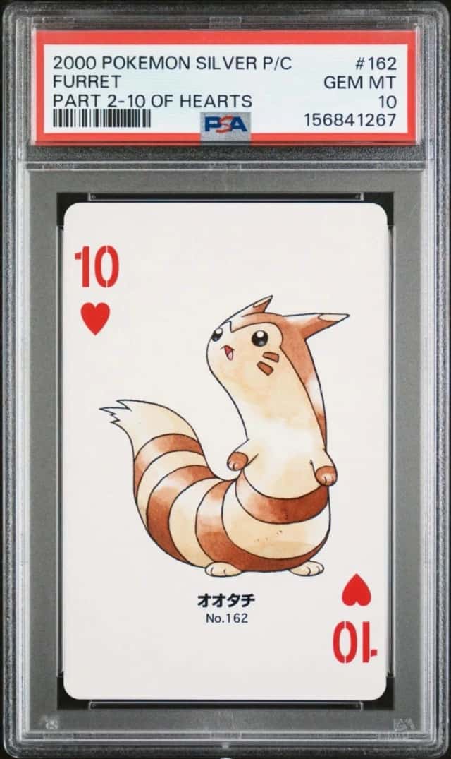 Furret