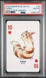 Furret