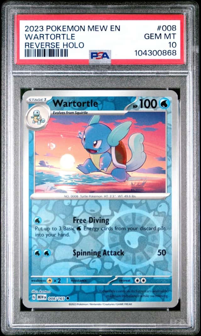Wartortle