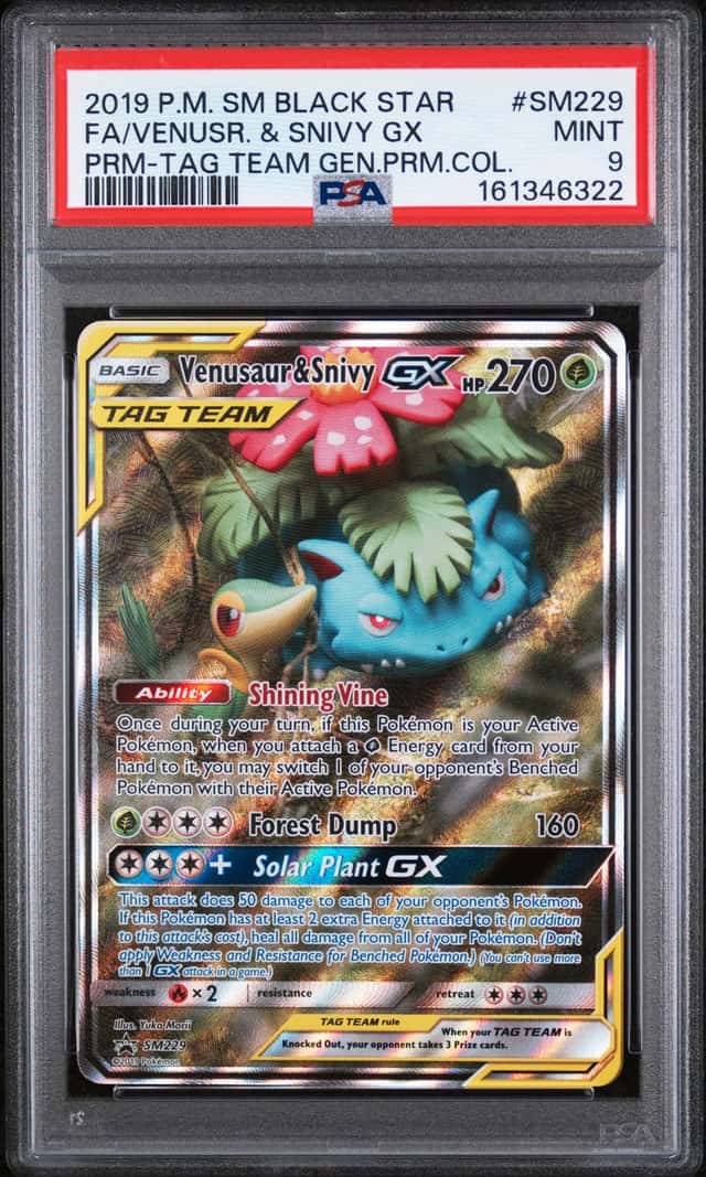 Venusaur & Snivy GX
