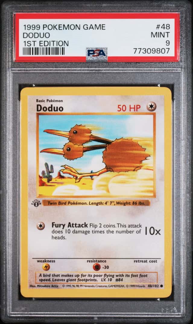 Doduo
