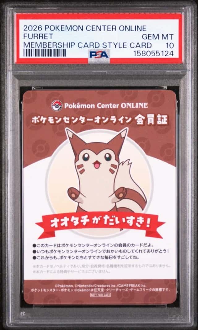 Furret