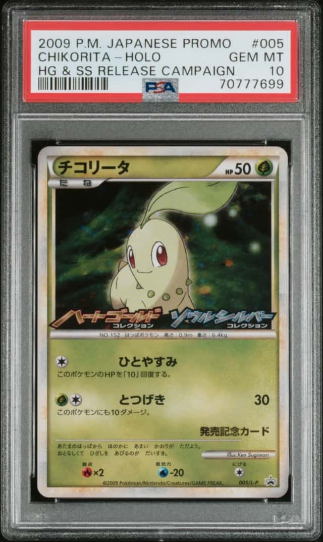 Chikorita