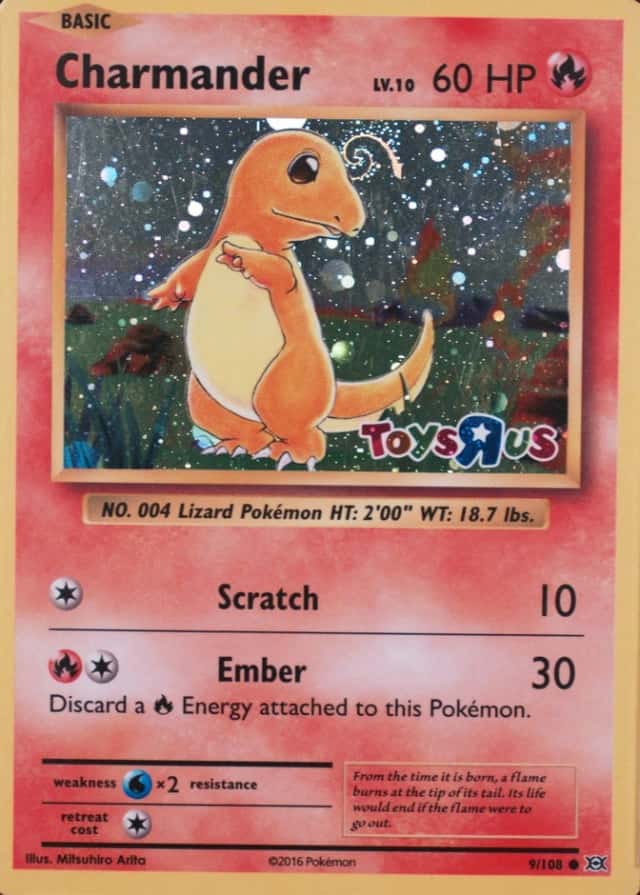 Holo