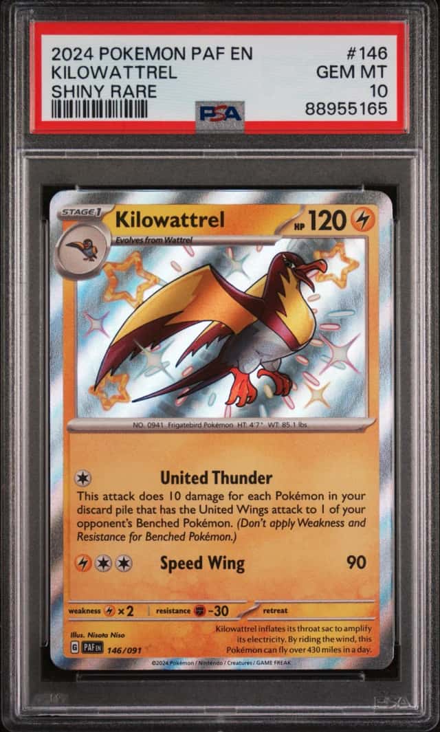 Kilowattrel