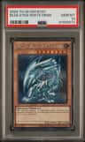 Blue-Eyes White Drgn