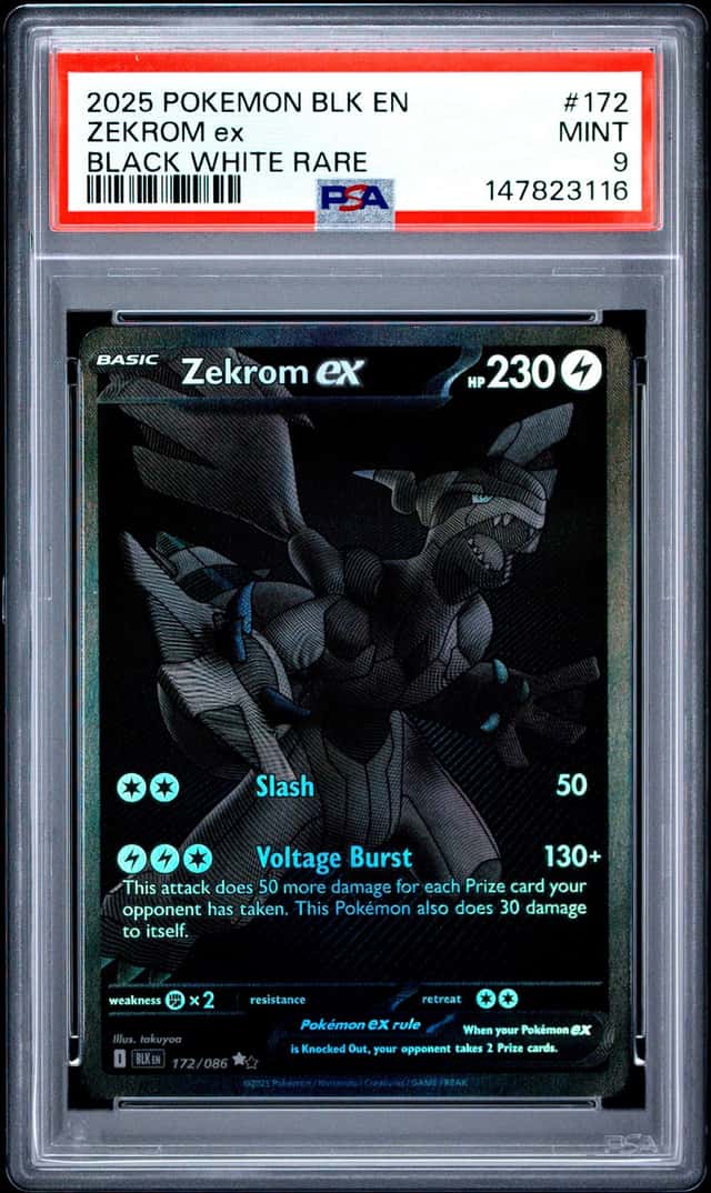 ZEKROM ex
