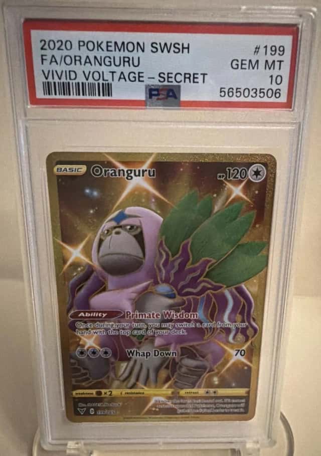 Oranguru