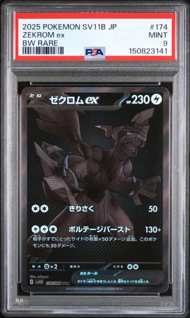 ZEKROM ex