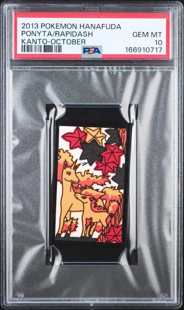 Ponyta/Rapidash