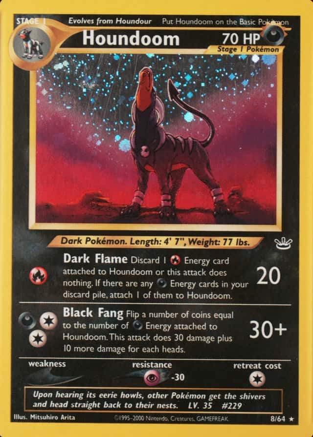 Holo