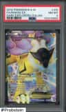 Raikou Ex