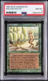 Willow Satyr