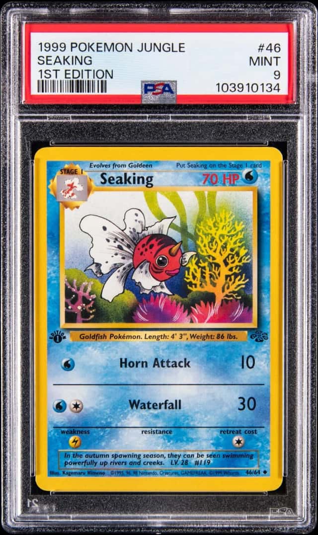 Seaking