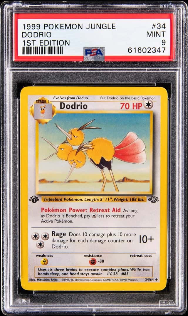 Dodrio