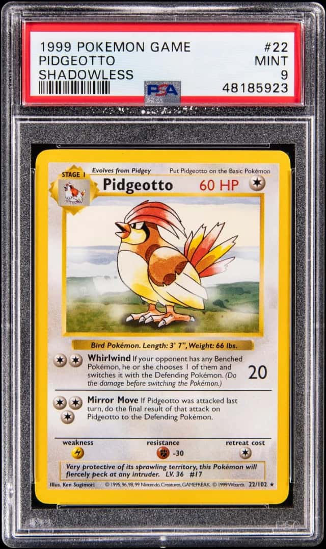 Pidgeotto