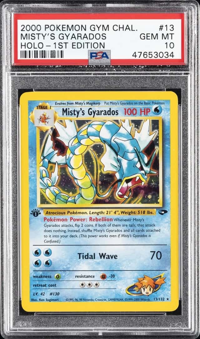 Misty's Gyarados
