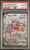 Rayquaza Vmax