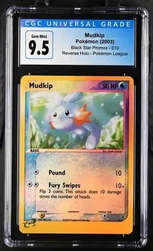 Mudkip