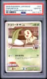 Chikorita M
