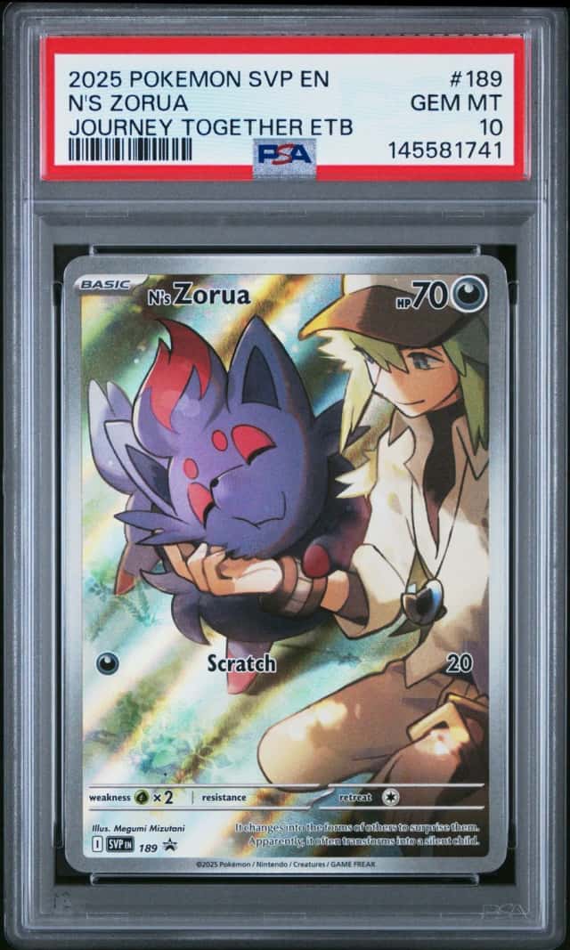 N's Zorua