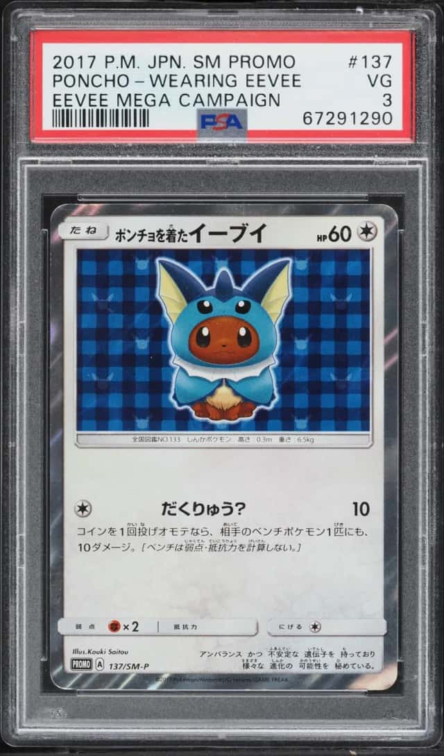 Poncho-wearing Eevee