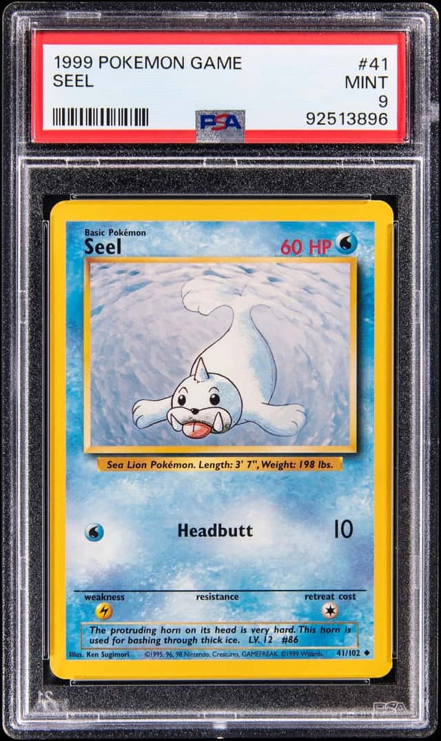 Seel