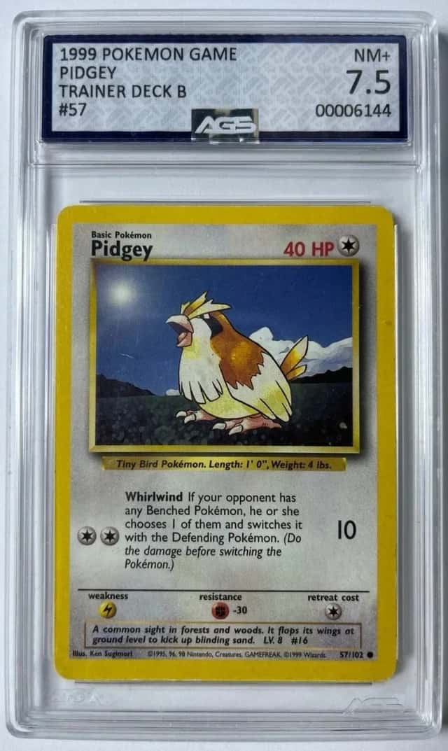 Pidgey
