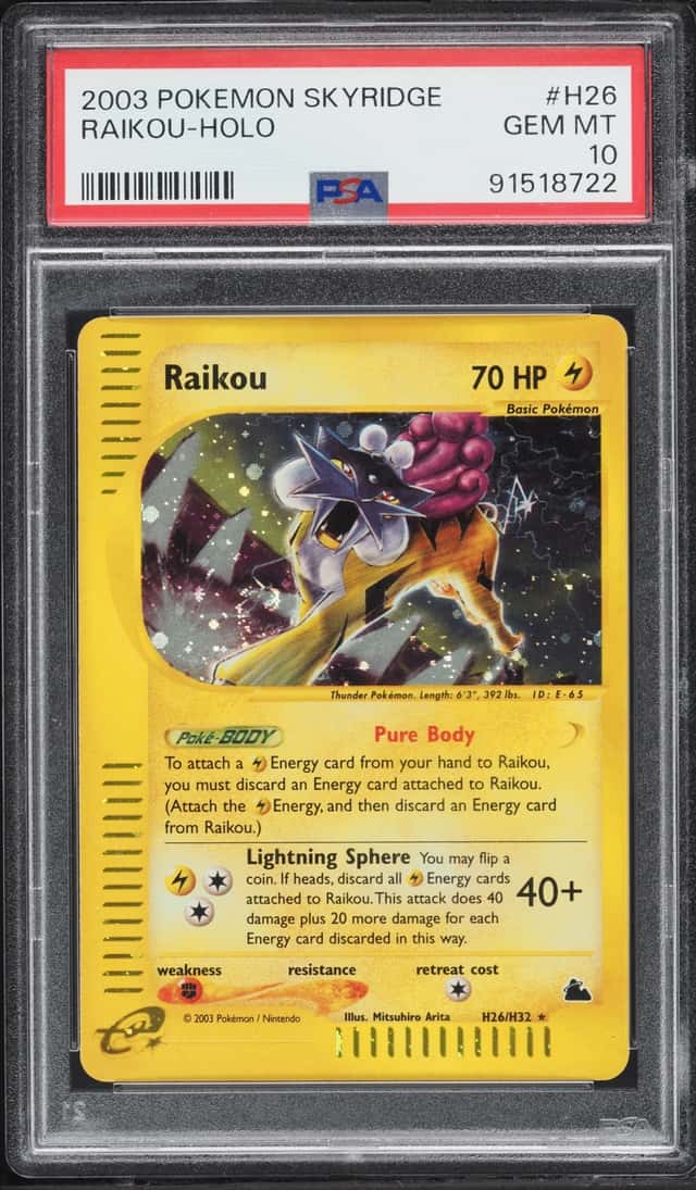 Raikou