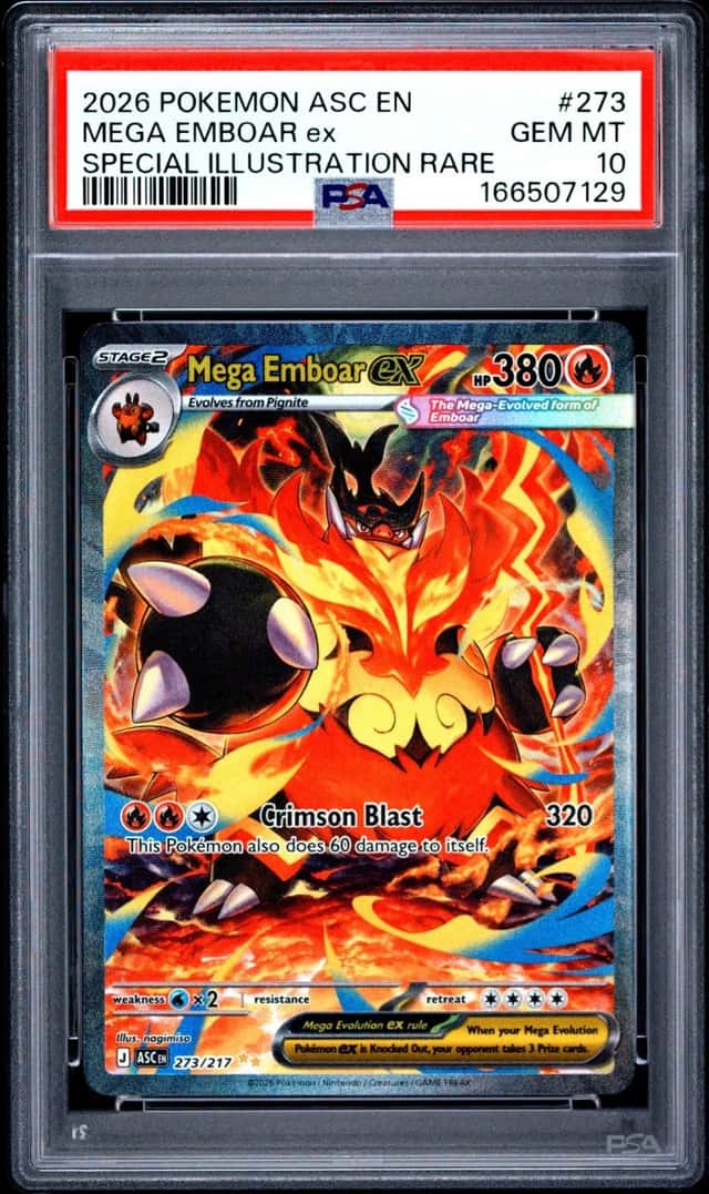MEGA EMBOAR ex