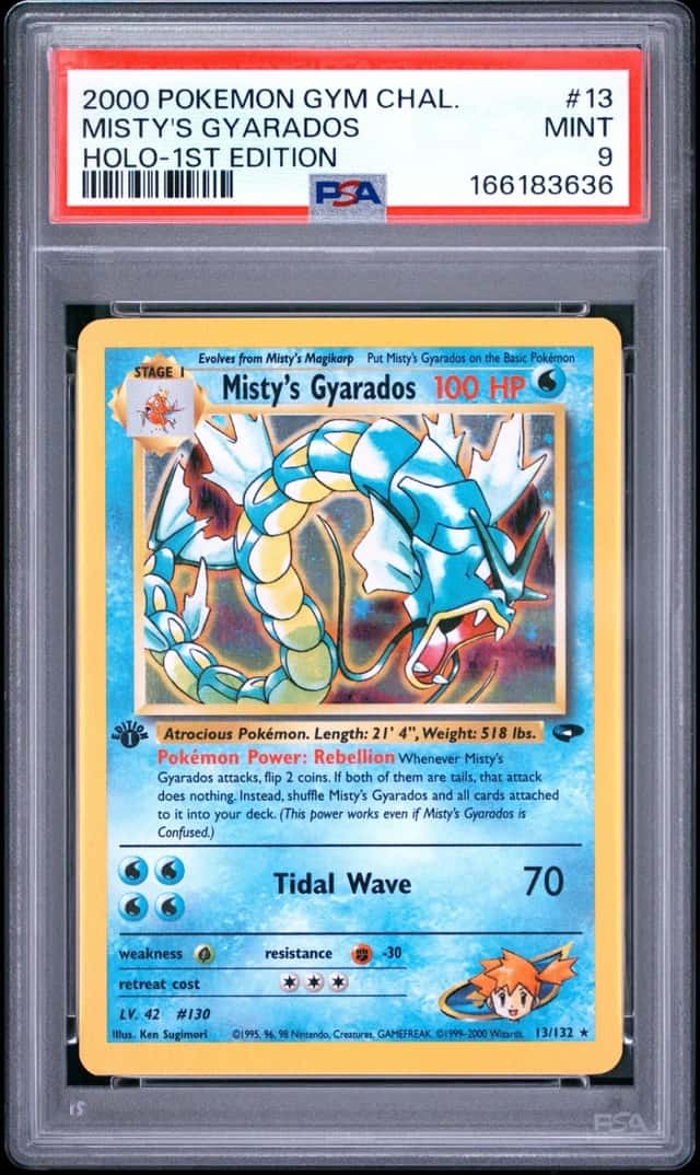 Misty's Gyarados