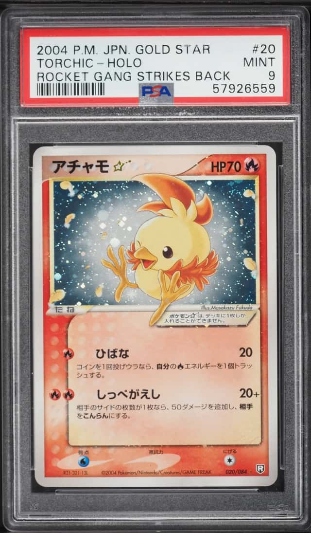 Torchic