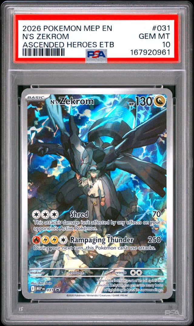 N's Zekrom